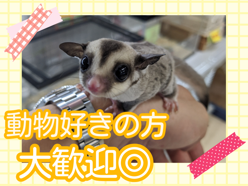 ペッツワン　名古屋大高インター店のアルバイト・バイト求人情報-05