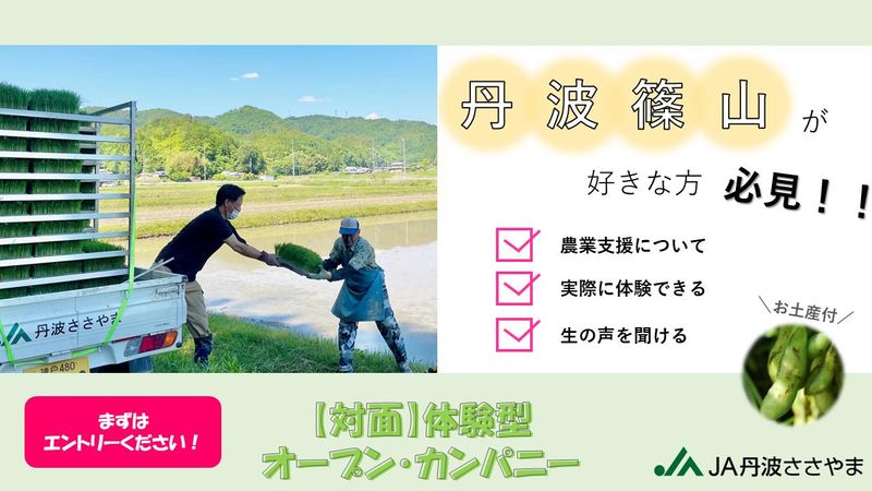 【集荷体験】JA丹波ささやまの仕事が分かる【金融・農業支援】