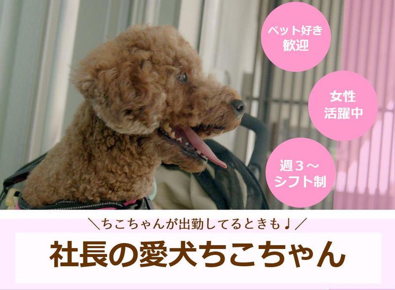 株式会社メイクビーのアルバイト・バイト求人情報-02