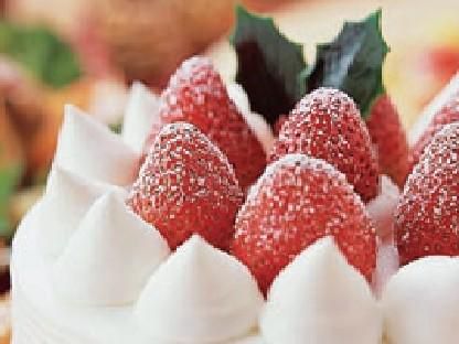 株式会社サン・ラファエルの求人・転職情報