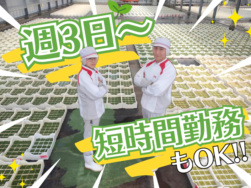株式会社村上農園のアルバイト・バイト求人情報