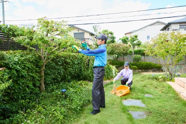 有限会社エムアンドエムの求人・転職情報