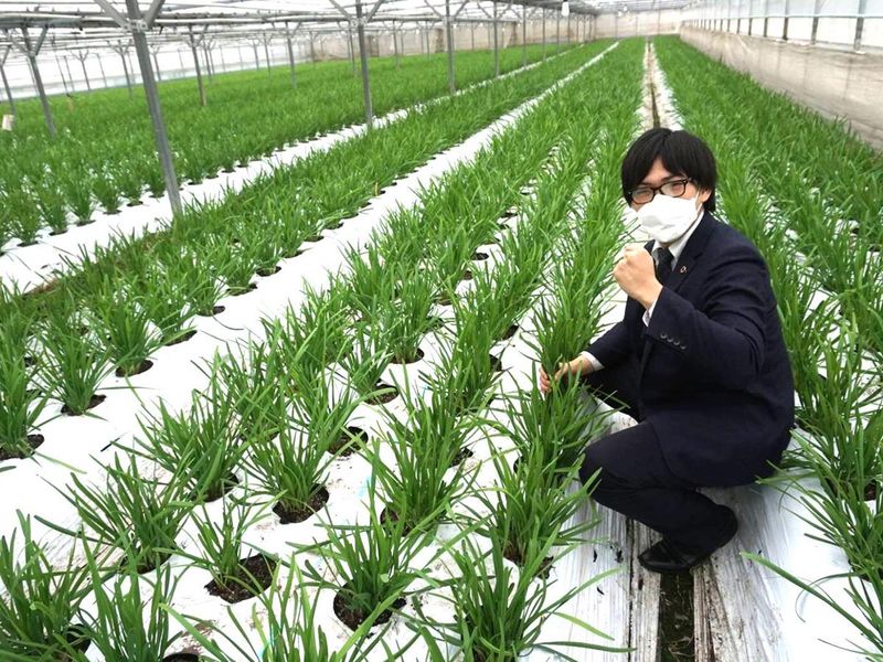 株式会社　武蔵野種苗園
