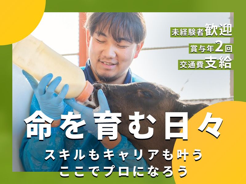 有限会社コスモス-0002の求人・転職情報