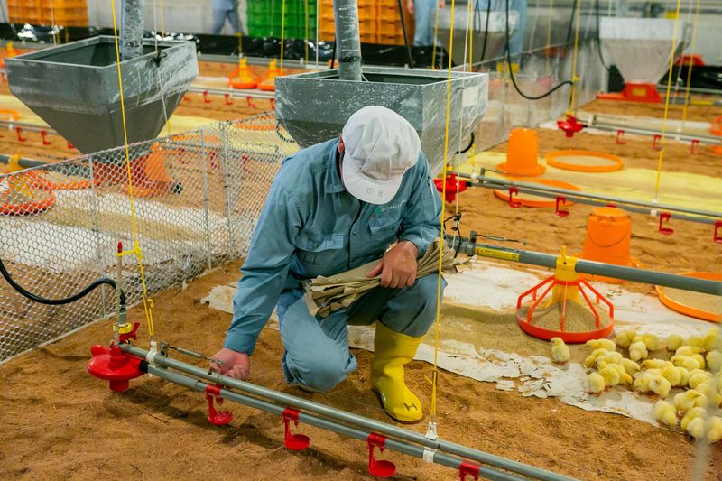 株式会社ジャパンファーム