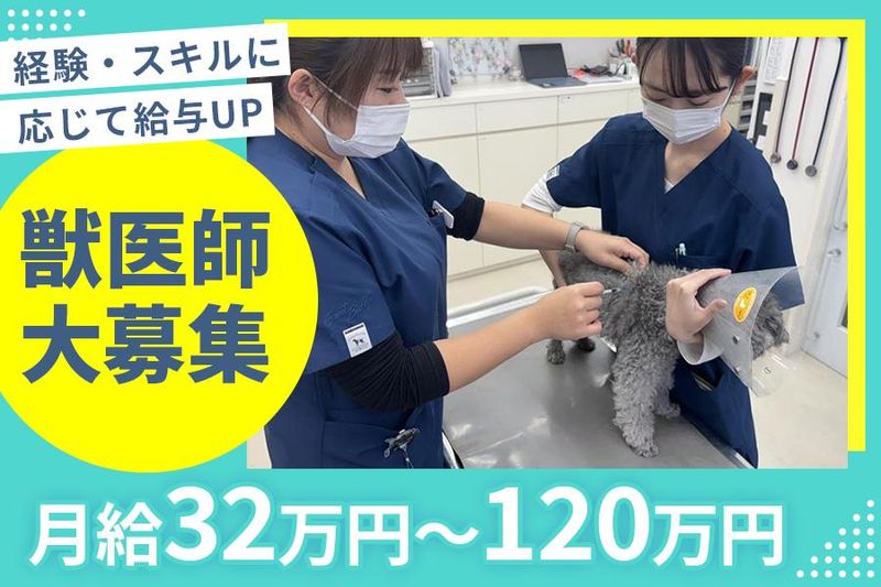 有限会社パームマーケティングの求人・転職情報