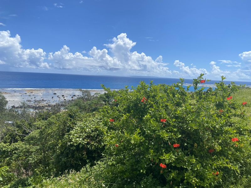 Gライオン・レントオール　株式会社の求人・転職情報