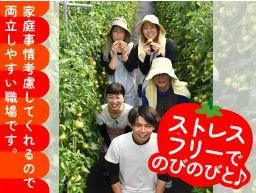 株式会社サンファーム富士山のアルバイト・バイト求人情報-02