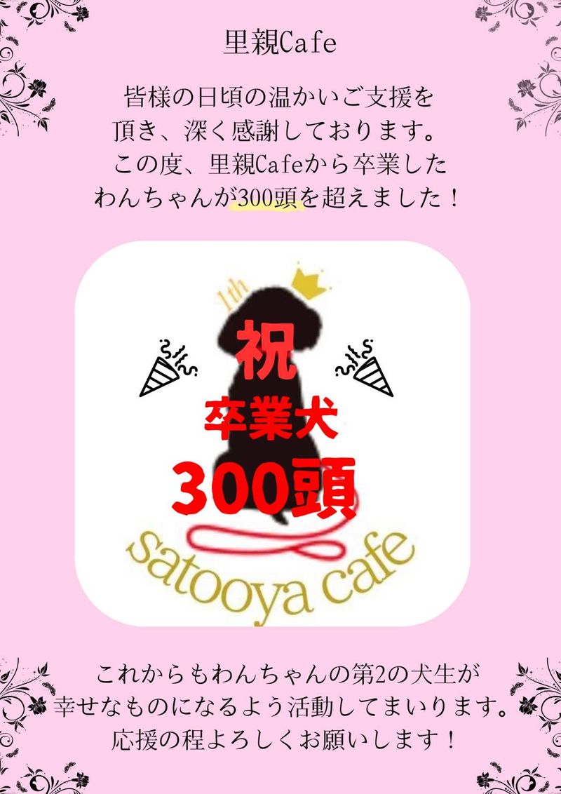里親カフェ　一般社団法人ペット育成環境健全化推進協会のアルバイト・バイト求人情報-04