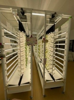 ひごペットフレンドリー　摂津ファームのアルバイト・バイト求人情報-03