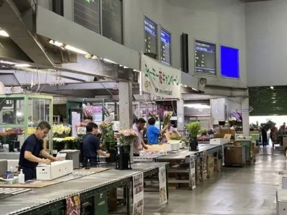 沖縄県くみあい生花 株式会社の求人・転職情報