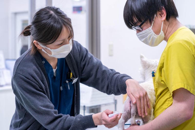 株式会社高度医療ＣＴセンター林宝どうぶつ病院の求人・転職情報