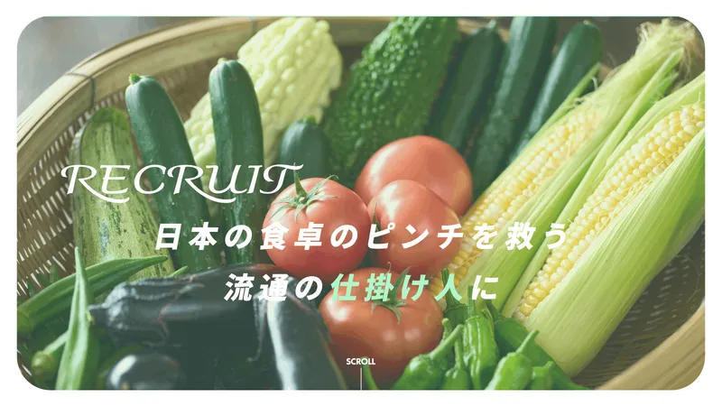 京都ベジタブルフルーツ株式会社の求人・転職情報