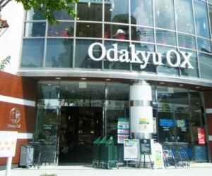 Odakyu OX X