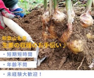 株式会社ウインドーの派遣求人情報