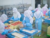 株式会社ヤヨイサンフーズの求人・転職情報