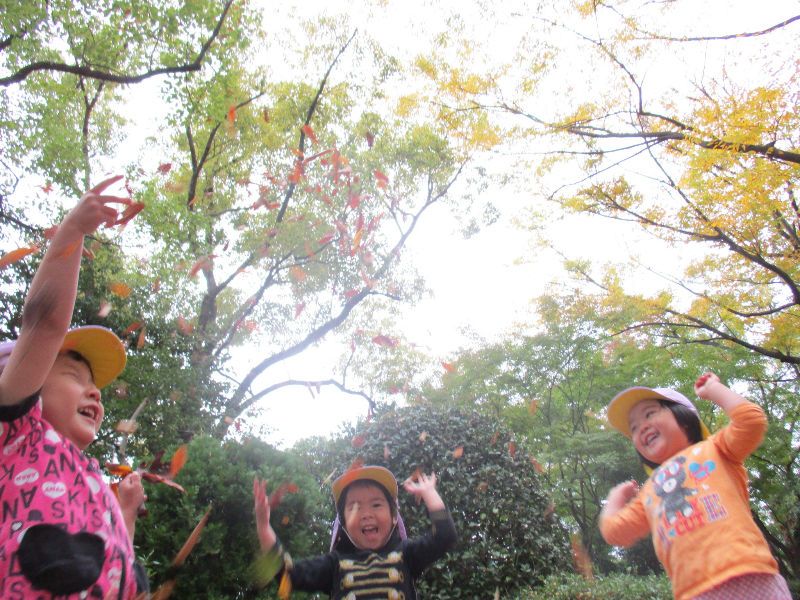 みどりの森みらいこども園の派遣求人情報