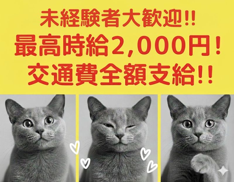 青物横丁エリアのアルバイト・バイト求人情報-02