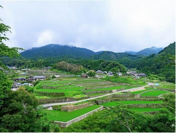 東峰村の求人・転職情報