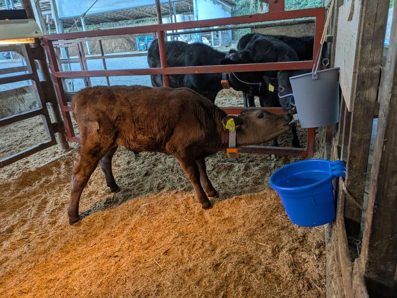 株式会社コムテックの求人・転職情報