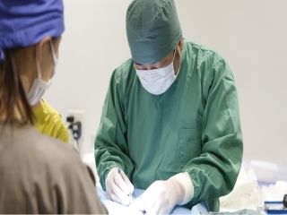コジマ西新井動物病院のアルバイト・バイト求人情報-05