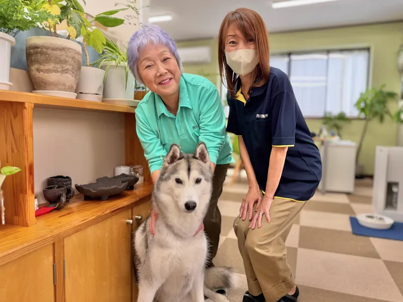 西川西事務所のアルバイト・バイト求人情報