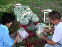 社会福祉法人札幌協働福祉会の求人・転職情報