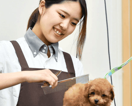 ひごペットフレンドリー　イオンモール橿原店のアルバイト・バイト求人情報-03