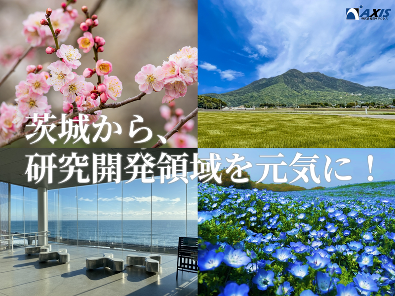株式会社日本アクシスの求人・転職情報