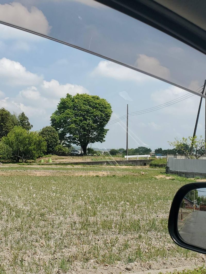 山本造園サービスのアルバイト・バイト求人情報-04