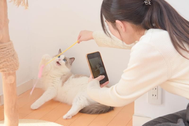 ねこべや町田のアルバイト・バイト求人情報-03