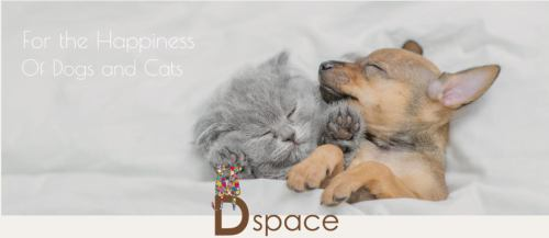 株式会社DIPSの求人・転職情報