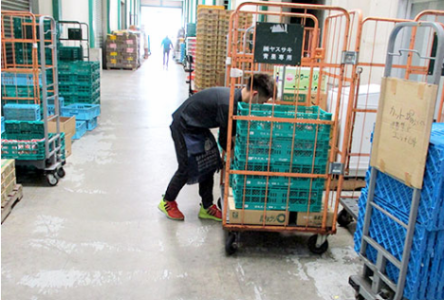 マルミ青果株式会社の求人・転職情報