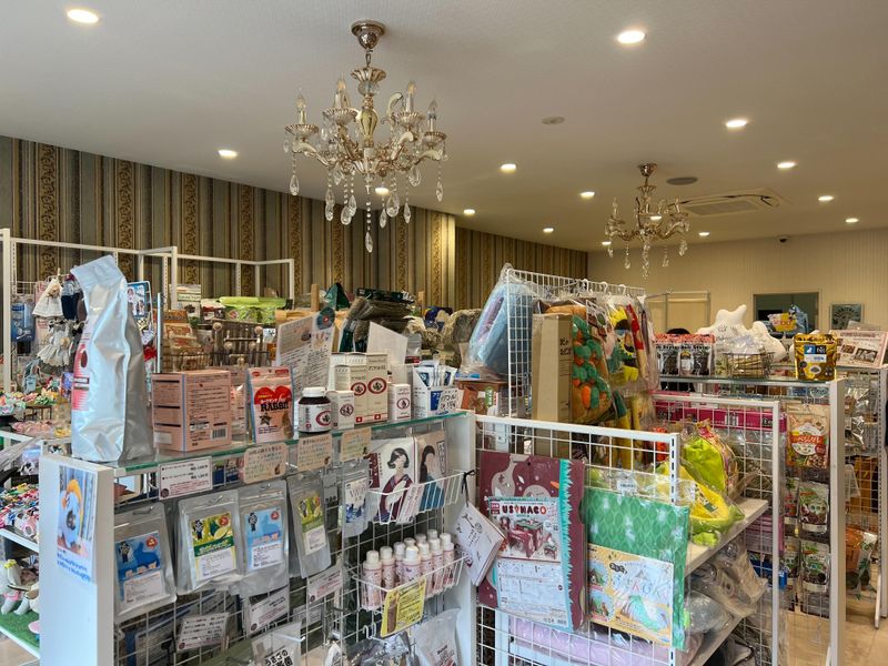 うさぎ専門店　Rabbit-Ruru　大阪店のアルバイト・バイト求人情報-05