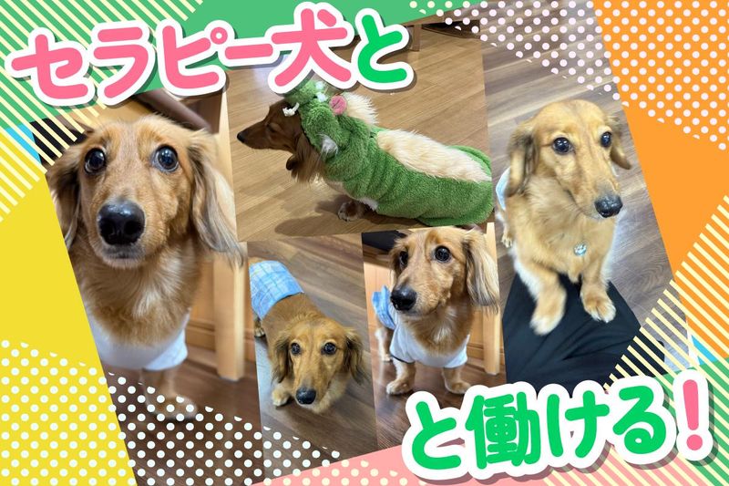 株式会社スマイルらいふけあの求人・転職情報