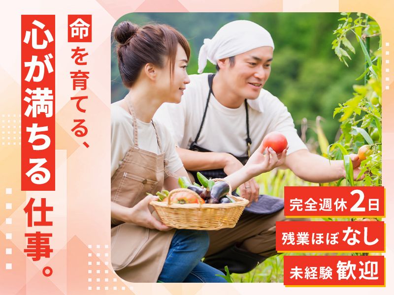 トマト屋　竹生の求人・転職情報