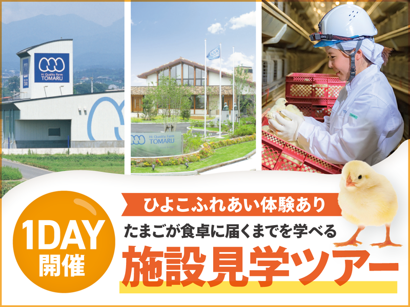 【施設見学あり】”たまごが食卓に届くまで”を学ぶ/群馬開催