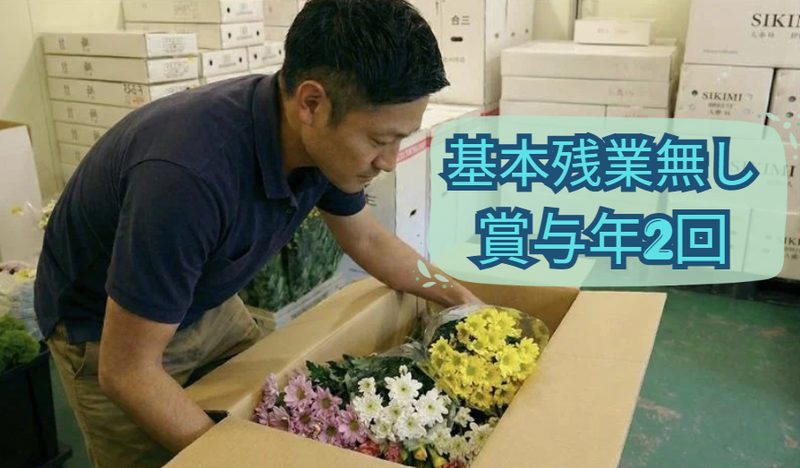 エス・ケイ企画株式会社の求人・転職情報
