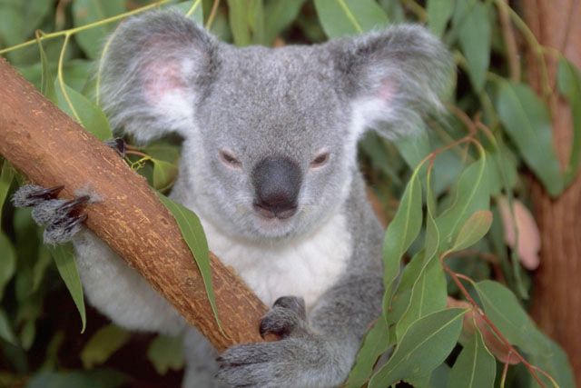 COSMO Inc.(株式会社コスモ)のアルバイト・バイト求人情報-46