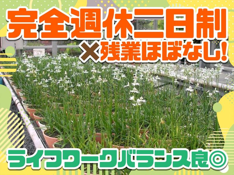 一般財団法人姫路市まちづくり振興機構の求人・転職情報