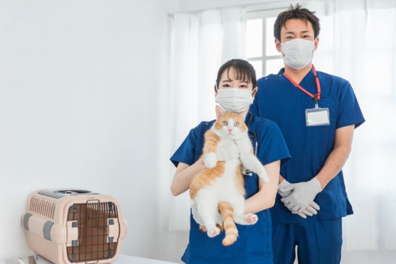 山崎動物病院の求人・転職情報