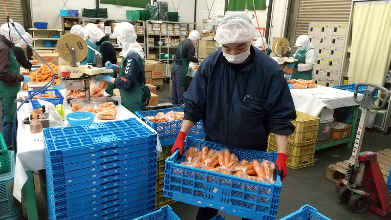 株式会社ワタリ青果のアルバイト・バイト求人情報-02