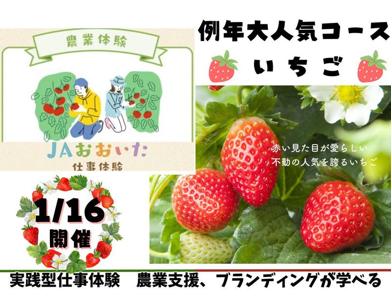 大分県農業協同組合