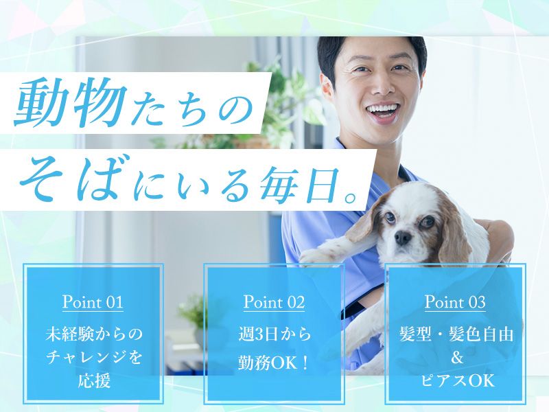 エルマーどうぶつ病院のアルバイト・バイト求人情報-02