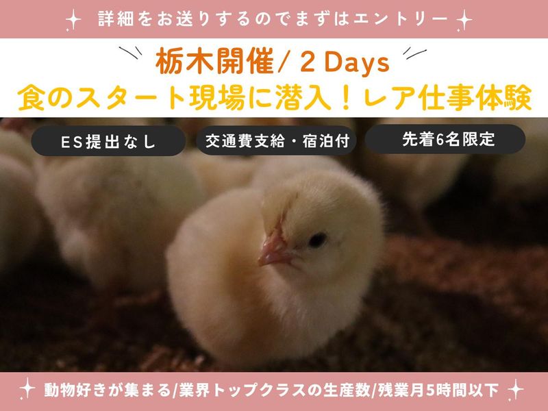 株式会社イシイ