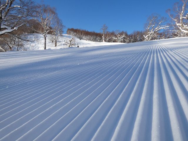 めいほう高原開発株式会社の求人・転職情報