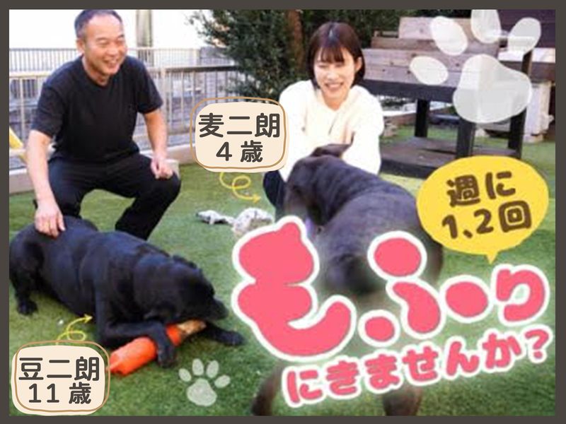 エーケン株式会社の求人・転職情報