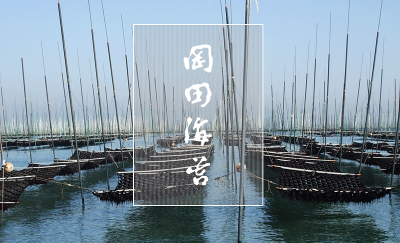 岡田海苔株式会社の求人・転職情報