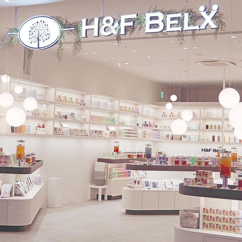 H&F BELX株式会社の求人・転職情報
