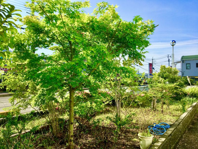 オーティーティーロジスティクス株式会社　本社　大阪流通センターのアルバイト・バイト求人情報-02